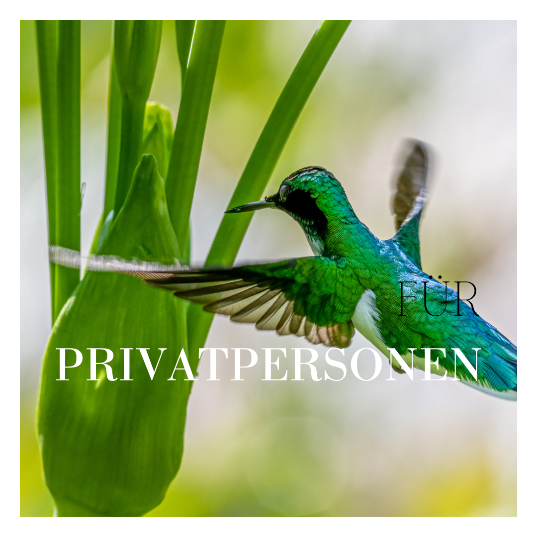 Für Privatpersonen